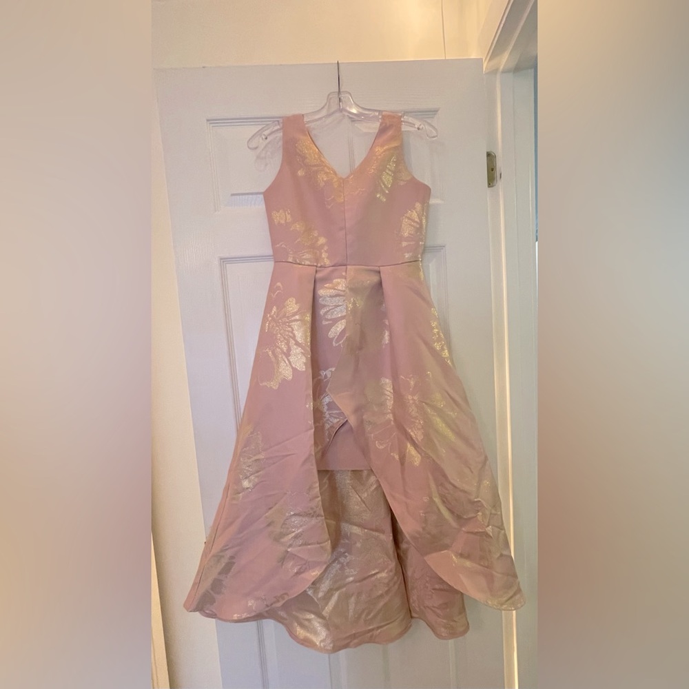 Lovely tired pink dress with Golden accents!